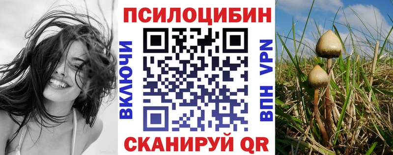 KRAKEN сайт Тайшет Галлюциногенные грибы Magic Shrooms